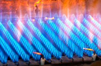 Dallam gas fired boilers